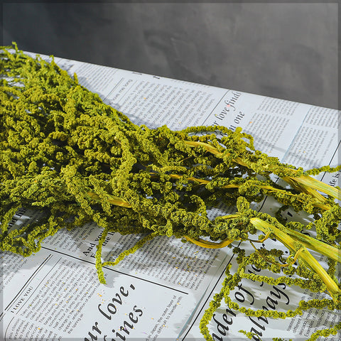 Preserved Dried Hanging Flower