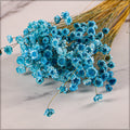 dried star flowers decor