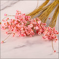 preserved star flower stems