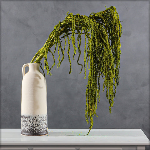 Preserved Dried Hanging Flower