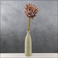 preserved protea flower