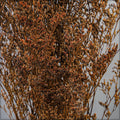 Natural dried statice flowers