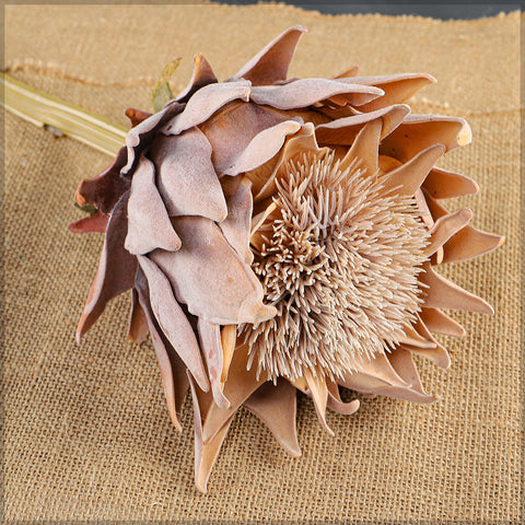 artificial dried protea