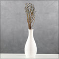 Eucalyptus Fruit for Decor