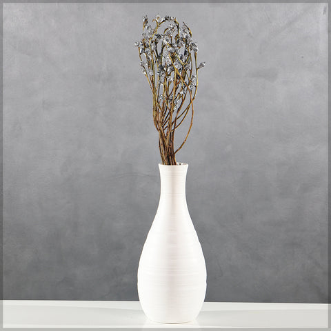Eucalyptus Fruit for Decor