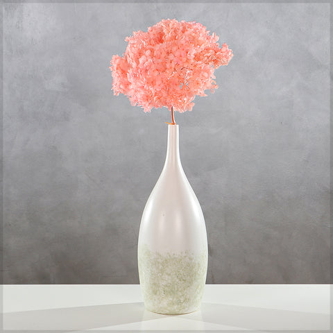 Natural Preserved Dried Hydrangea Flower