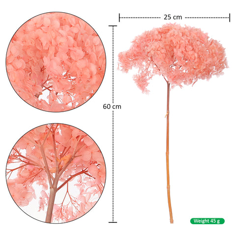 Natural Preserved Dried Hydrangea Flower