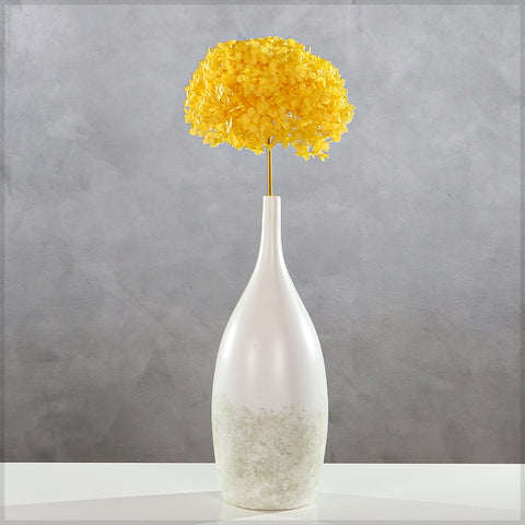 Natural Preserved Dried Hydrangea Flower