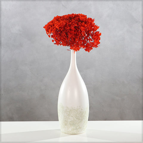 Natural Preserved Dried Hydrangea Flower