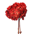 Preserved Red Hydrangea Flower