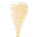 White Preserved Baby's Breath