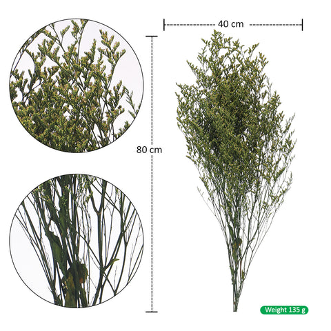 Caspia flowers