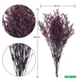 Dried caspia arrangement