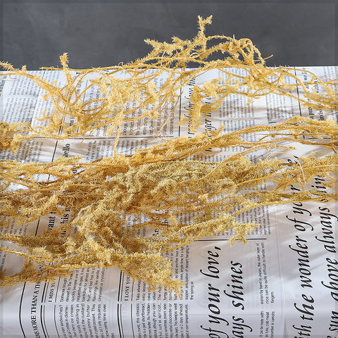 Preserved Lycopodium Japonicum Buck Grass