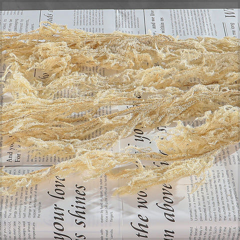 Preserved Lycopodium Japonicum Buck Grass