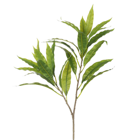 Faux Mango Leaves