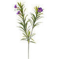 willow branch decor