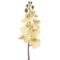 64 cm artificial real touch phalaenopsis orchid spray