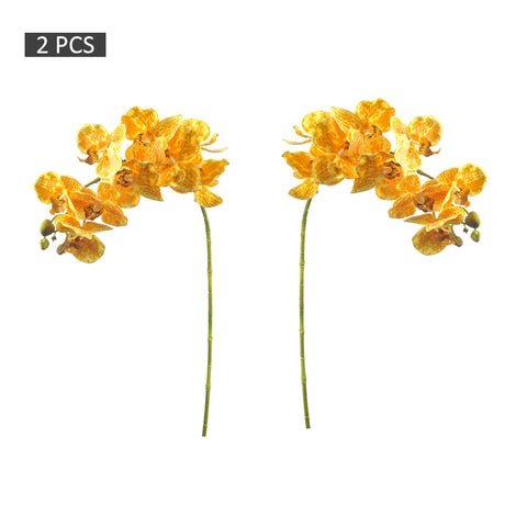 Real touch orchid flowers