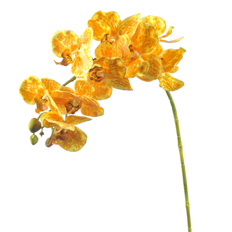 Artificial orchid flowers