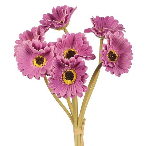 7 Heads Artificial Daisy Flowers with Stems