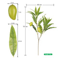 Decorative Mango Stems