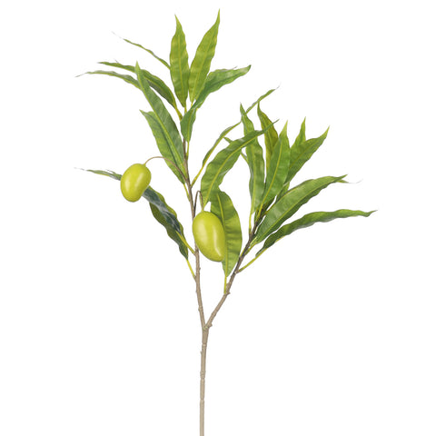 Mango Stems for Floral Arrangements