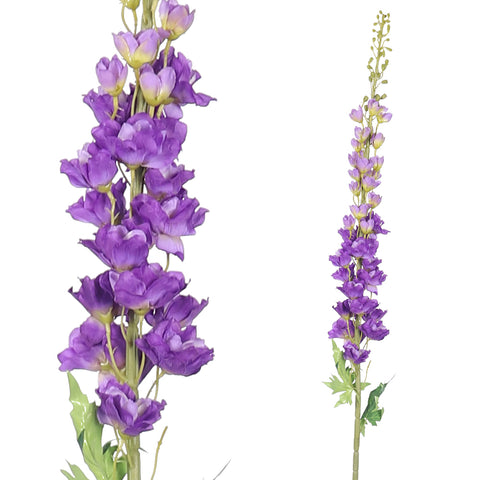 Delphinium Flower Stem