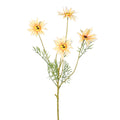 4 heads nearly natural daisy flower stem