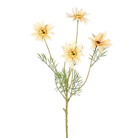 4 heads nearly natural daisy flower stem