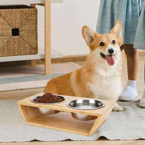 pet bowl with stand