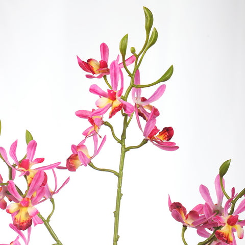 Lifelike silk orchid flowers