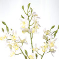 Artificial orchid stems