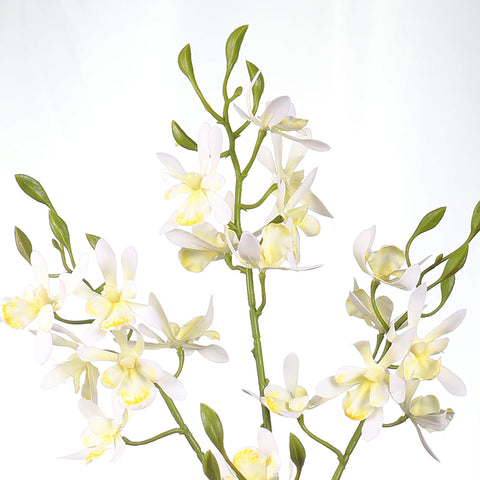 Artificial orchid stems