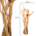 Natural Forest Tree Branch