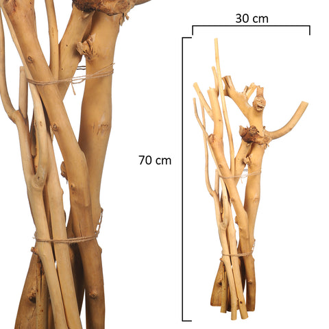 Natural Forest Tree Branch