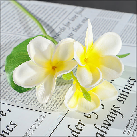 tropical plumeria flower stem