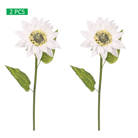 sunflower stem