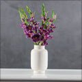gladiolus bulbs for sale