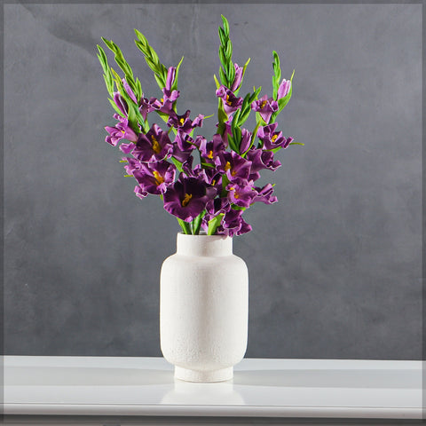gladiolus bulbs for sale