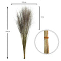 Minimalist dried grass for decoration