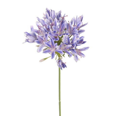 Artificial Agapanthus Flower Stem