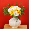 Daisy Stems for Floral Arrangements