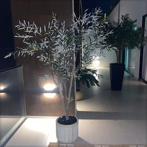 Graceful Green Indoor Botanics  for display purposes only (non-sale)