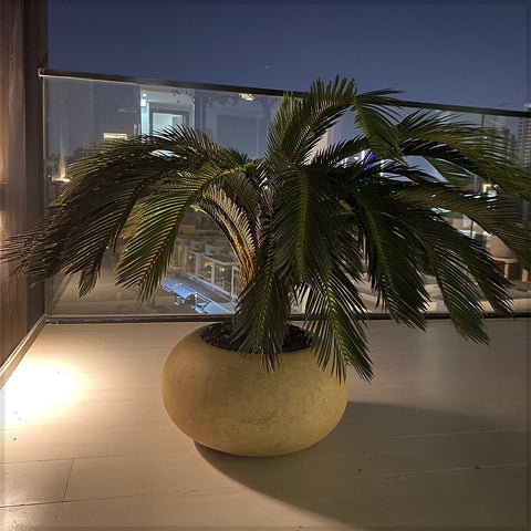 Graceful Green Indoor Botanics  for display purposes only (non-sale)