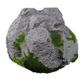 green moss and stone