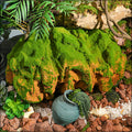 moss and stones décor