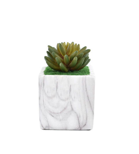 Fake Succulent Plant with Ceramic Pot