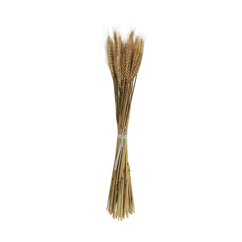 Wheat stalks for farmhouse decor