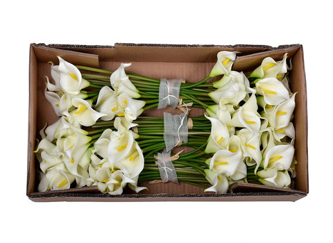 buy mini calla lilies Dubai